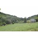 Properties for Sale_Farmhouses to restore_FARMHOUSE TO BE RESTORED FOR SALE IN THE MARCHE REGION, NESTLED IN THE ROLLING HILLS OF THE MARCHE in the municipality of Montefiore dell'Aso in Italy in Le Marche_15